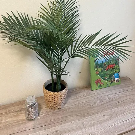 Apartman Lachmoewe *