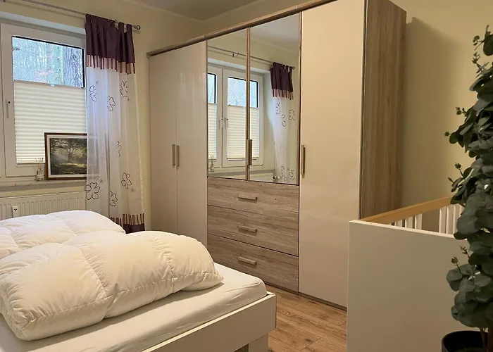 Lachmoewe * Sellin (Rugen)