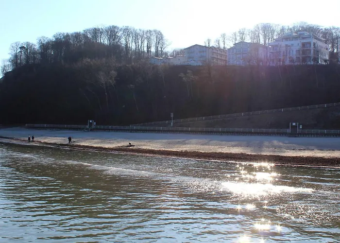 Lachmoewe * Sellin (Rugen)